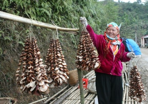 Bac Kan fait la promotion de ses produits agricoles d’excellence au Vietnam - ảnh 1